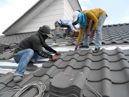 Best Roof Insulation Installation  in Biscoe, NC